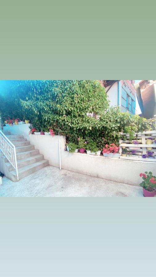 Galeb Apartment Ohrid Exterior foto