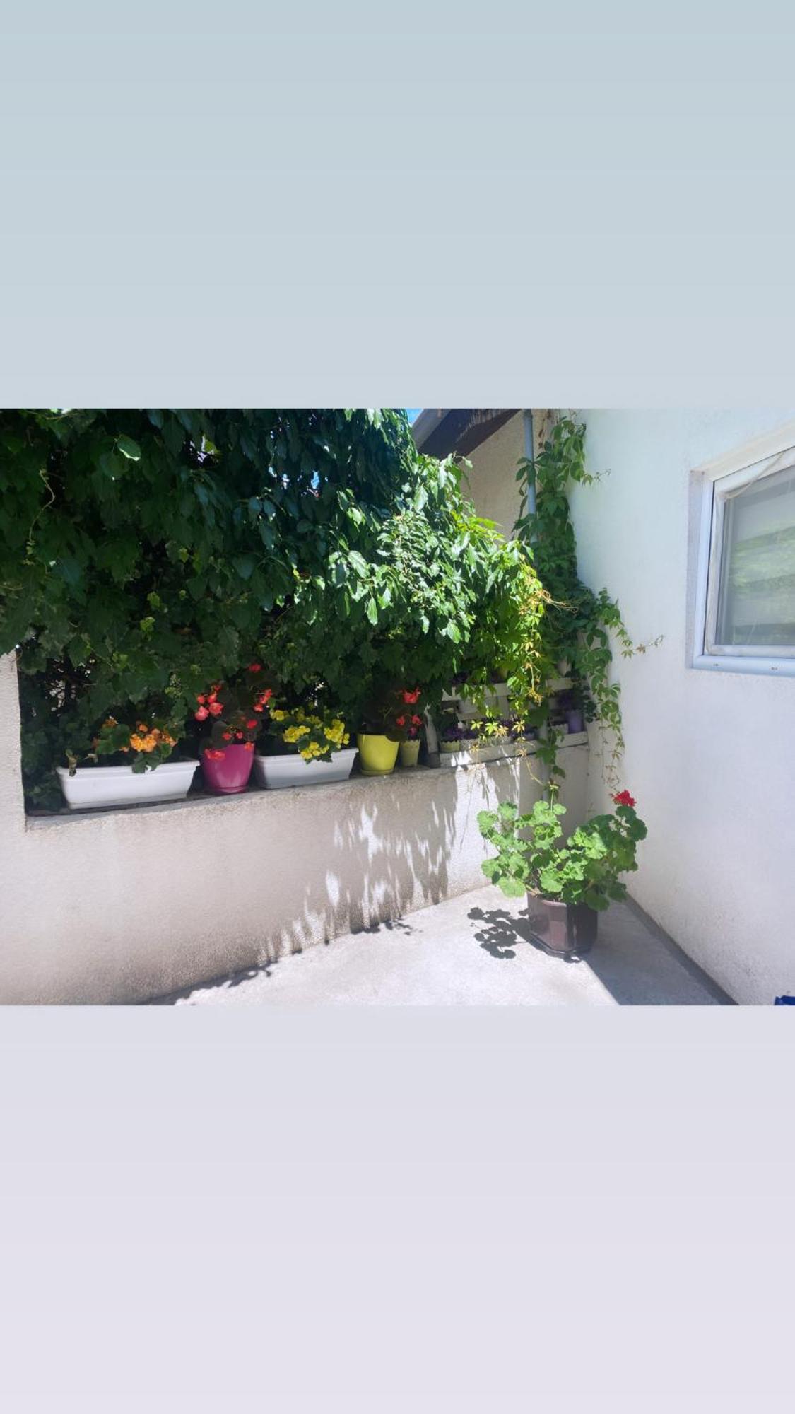 Galeb Apartment Ohrid Exterior foto